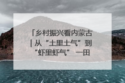 乡村振兴看内蒙古｜从“土里土气”到“虾里虾气” 一田双收模式火出圈