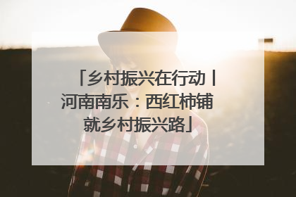 乡村振兴在行动丨河南南乐：西红柿铺就乡村振兴路
