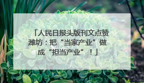 人民日报头版刊文点赞潍坊：把“当家产业”做成“担当产业”！