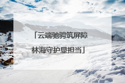 云端驰骋筑屏障 林海守护显担当
