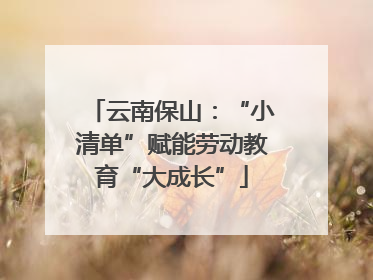 云南保山：“小清单”赋能劳动教育“大成长”