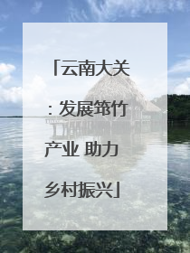 云南大关：发展筇竹产业 助力乡村振兴
