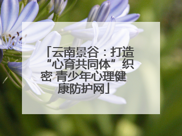 云南景谷：打造“心育共同体”织密 青少年心理健康防护网
