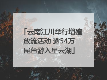 云南江川举行增殖放流活动 逾54万尾鱼游入星云湖