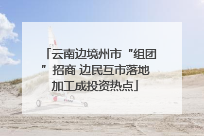 云南边境州市“组团”招商 边民互市落地加工成投资热点
