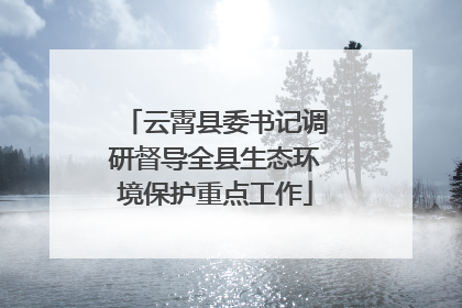 云霄县委书记调研督导全县生态环境保护重点工作