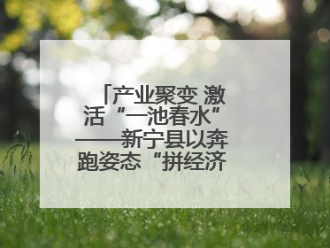 产业聚变 激活“一池春水”——新宁县以奔跑姿态“拼经济”工作纪实