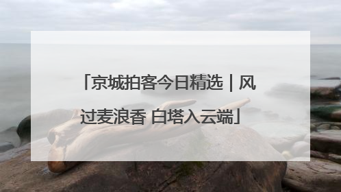 京城拍客今日精选｜风过麦浪香 白塔入云端