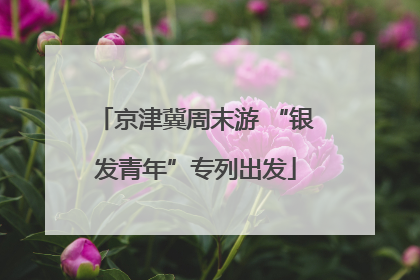 京津冀周末游 “银发青年”专列出发