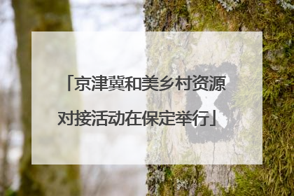 京津冀和美乡村资源对接活动在保定举行