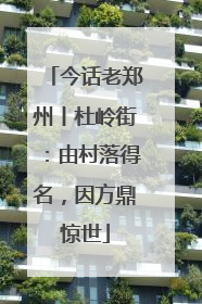 今话老郑州丨杜岭街：由村落得名，因方鼎惊世