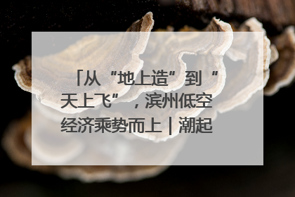 从“地上造”到“天上飞”，滨州低空经济乘势而上｜潮起渤海・网聚黄蓝