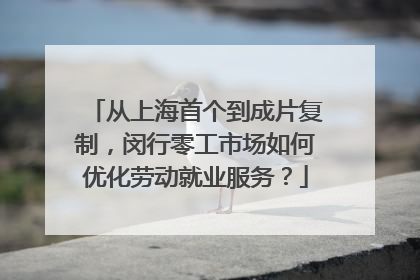 从上海首个到成片复制，闵行零工市场如何优化劳动就业服务？