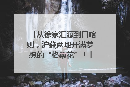 从徐家汇源到日喀则，沪藏两地开满梦想的“格桑花”！
