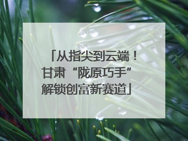 从指尖到云端！甘肃“陇原巧手”解锁创富新赛道