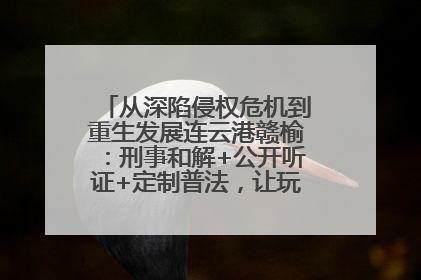 从深陷侵权危机到重生发展连云港赣榆：刑事和解+公开听证+定制普法，让玩具公司回到正轨