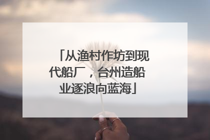 从渔村作坊到现代船厂，台州造船业逐浪向蓝海