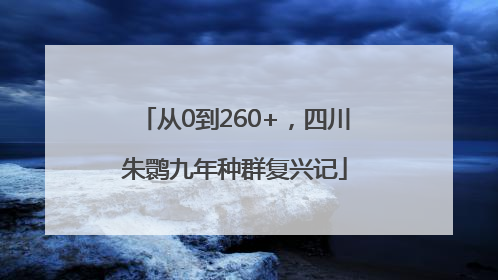从0到260+，四川朱鹮九年种群复兴记
