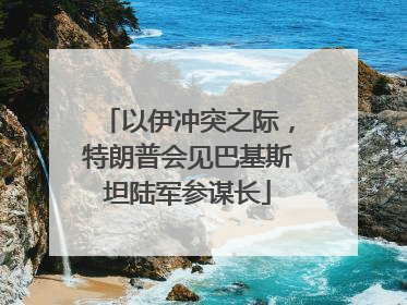 以伊冲突之际，特朗普会见巴基斯坦陆军参谋长