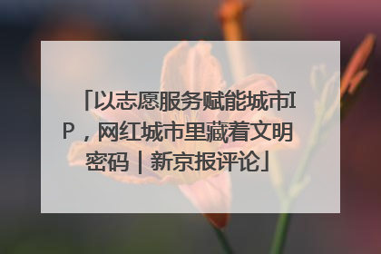 以志愿服务赋能城市IP，网红城市里藏着文明密码｜新京报评论