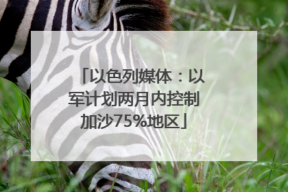以色列媒体：以军计划两月内控制加沙75%地区