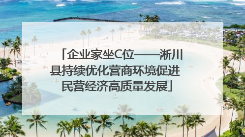 企业家坐C位——淅川县持续优化营商环境促进 民营经济高质量发展
