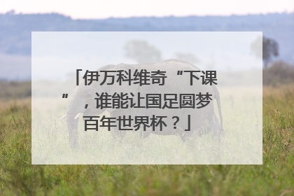 伊万科维奇“下课”，谁能让国足圆梦百年世界杯？
