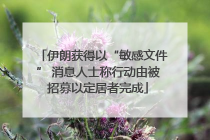 伊朗获得以“敏感文件” 消息人士称行动由被招募以定居者完成