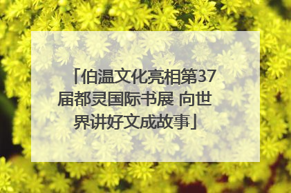 伯温文化亮相第37届都灵国际书展 向世界讲好文成故事