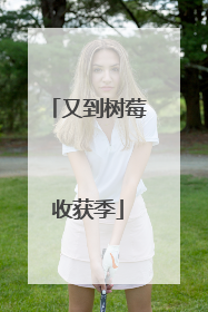 又到树莓收获季