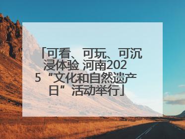 可看、可玩、可沉浸体验 河南2025“文化和自然遗产日”活动举行