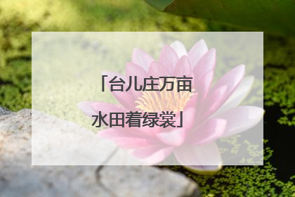 台儿庄万亩水田着绿裳