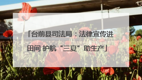 台前县司法局：法律宣传进田间 护航“三夏”助生产