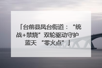 台前县凤台街道：“统战+禁烧”双轮驱动守护蓝天 “零火点”