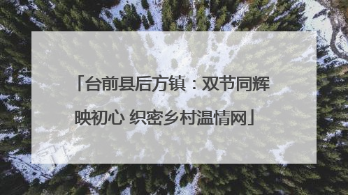 台前县后方镇：双节同辉映初心 织密乡村温情网