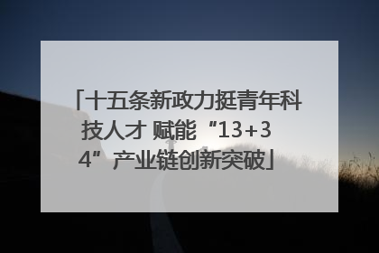 十五条新政力挺青年科技人才 赋能“13+34”产业链创新突破