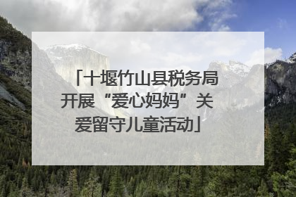 十堰竹山县税务局开展“爱心妈妈”关爱留守儿童活动