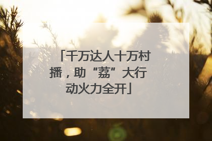 千万达人十万村播，助“荔”大行动火力全开