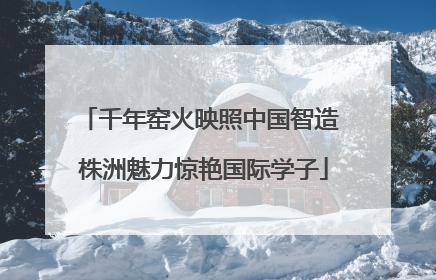 千年窑火映照中国智造 株洲魅力惊艳国际学子