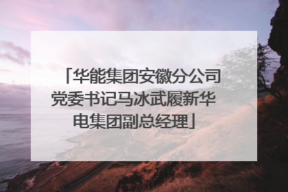 华能集团安徽分公司党委书记马冰武履新华电集团副总经理