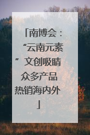 南博会：“云南元素”文创吸睛 众多产品热销海内外