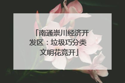 南通崇川经济开发区：垃圾巧分类 文明花竞开