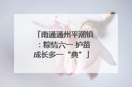 南通通州平潮镇：粽情六一 护苗成长多一“典”