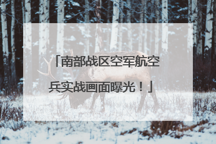南部战区空军航空兵实战画面曝光！