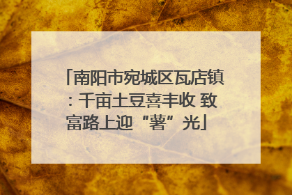 南阳市宛城区瓦店镇：千亩土豆喜丰收 致富路上迎“薯”光