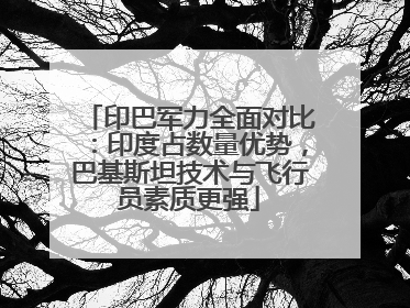 印巴军力全面对比：印度占数量优势，巴基斯坦技术与飞行员素质更强