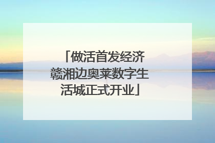 做活首发经济 赣湘边奥莱数字生活城正式开业