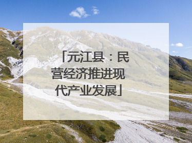 元江县：民营经济推进现代产业发展