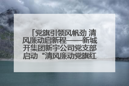 党旗引领风帆劲 清风廉动启新程——新城开集团新宇公司党支部启动“清风廉动党旗红”系列活动