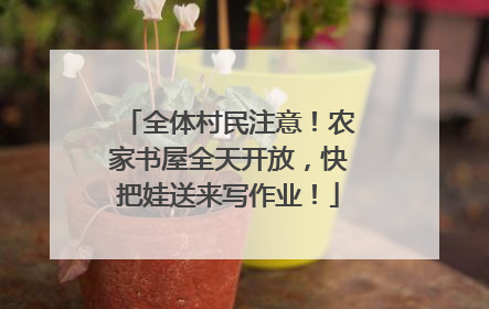 全体村民注意！农家书屋全天开放，快把娃送来写作业！